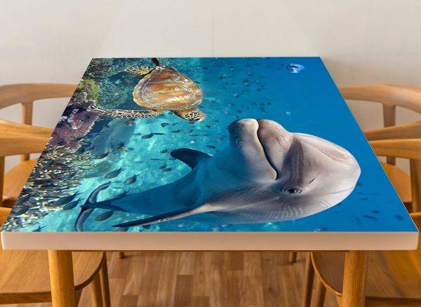 Ocean Turtle Dolphin Laminated Vinyl Cover Self-Adhesive for Desk and Tables