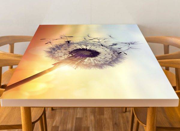 Dandelion Sunset View Laminated Vinyl Cover Self-Adhesive for Desk and Tables