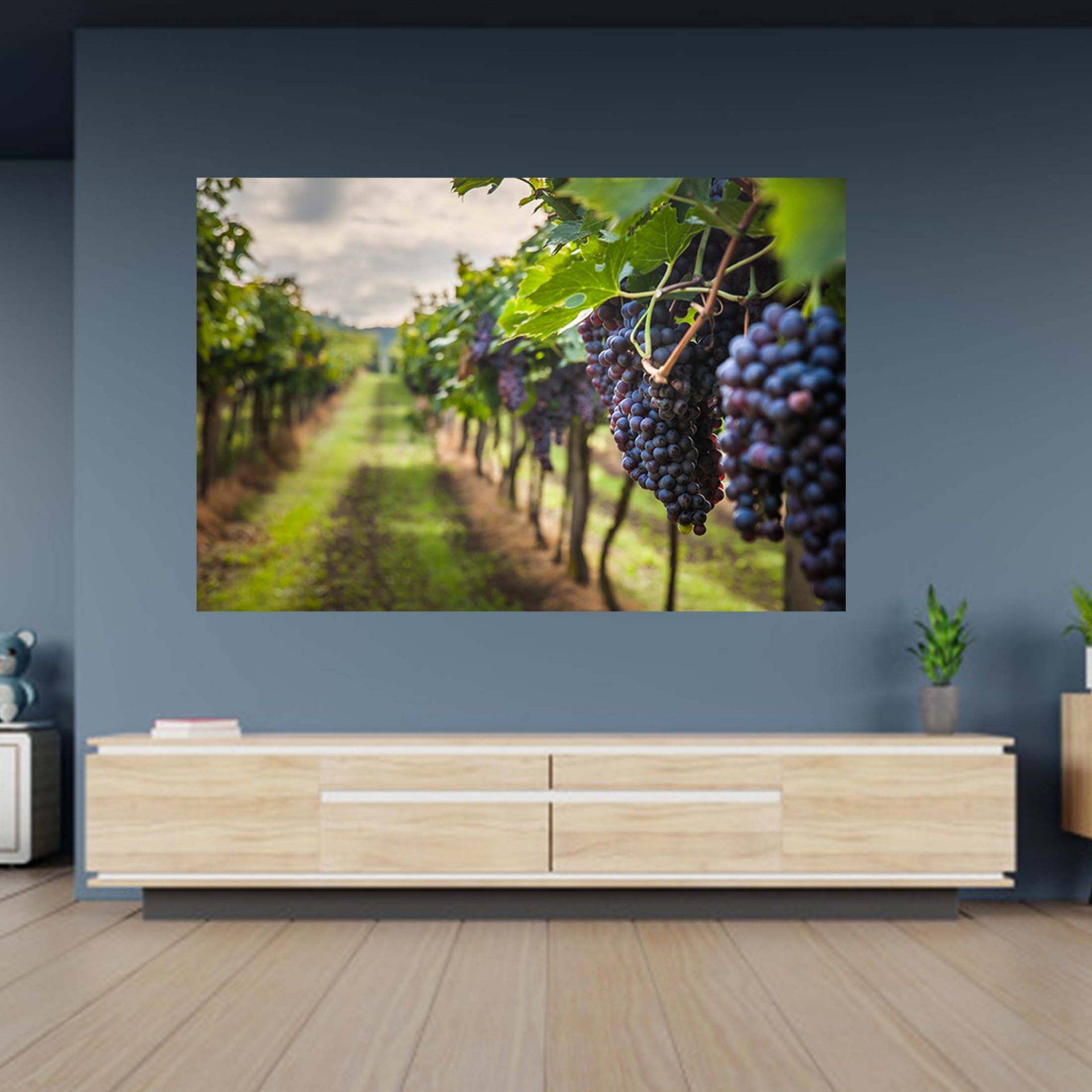 Grapes Vineyard Wall Sticker - Wall Decal Art Mural - Blue Side Studio