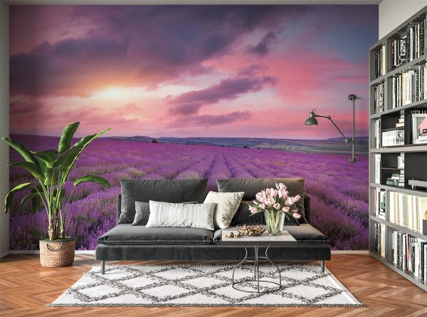 Violet Flower Field Sunset Wall Mural Photo Wallpaper UV Print Decal Art Décor