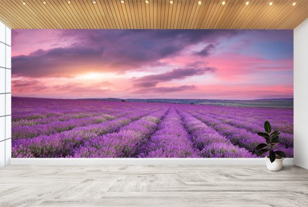 Violet Flower Field Sunset Wall Mural Photo Wallpaper UV Print Decal Art Décor