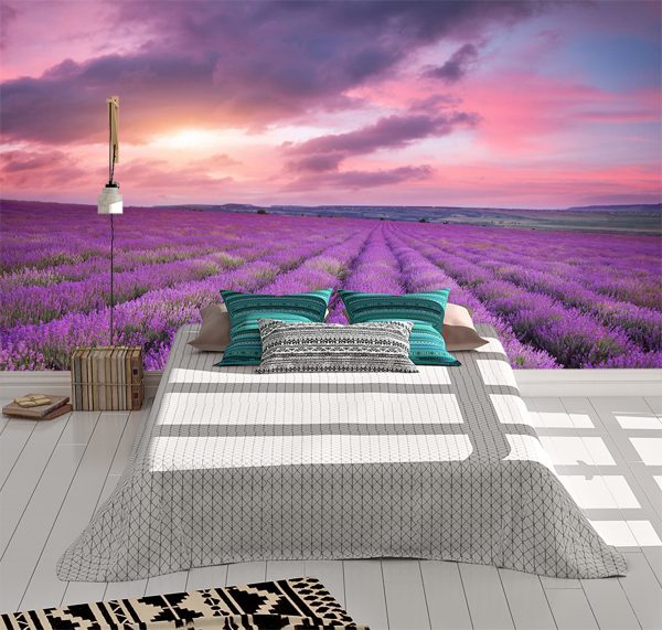 Violet Flower Field Sunset Wall Mural Photo Wallpaper UV Print Decal Art Décor