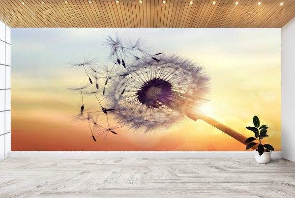 Dandelion in Sunset Wall Mural Photo Wallpaper UV Print Decal Art Décor