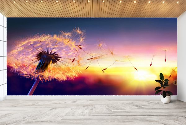 Flowing Dandelion in Sunset Wall Mural Photo Wallpaper UV Print Decal Art Décor