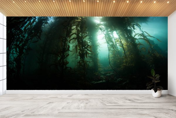 Dark Underwater Plants Wall Mural