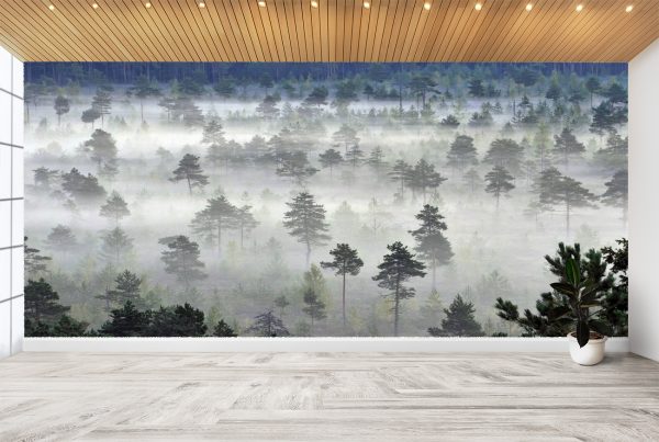 Foggy Forrest View Landscape Wall Mural Photo Wallpaper UV Print Decal Art Décor