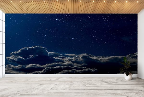 Night-time Sky & Stars View Wall Mural