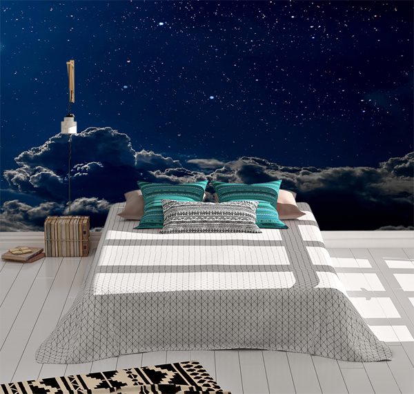 Night-time Sky & Stars View Wall Mural