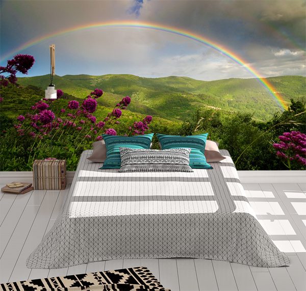 Rainbow on the Mountain Wall Mural