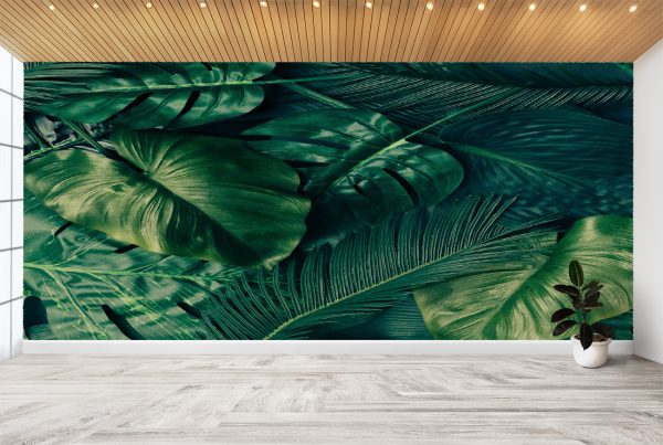 Tropical Monstera Nature Wall Mural