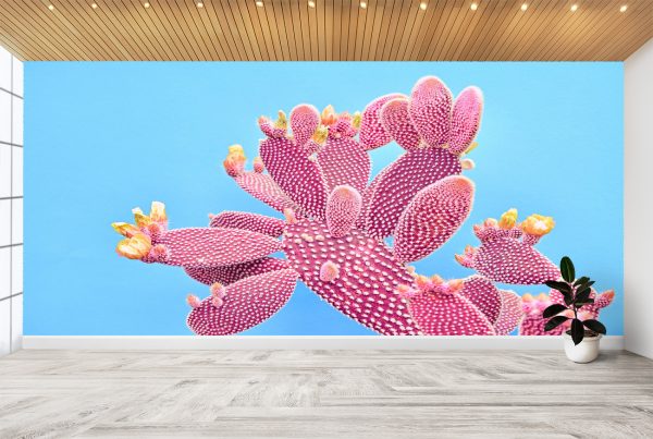 Pink Cactus on Blue Theme Wall Mural Photo Wallpaper UV Print Decal Art Décor