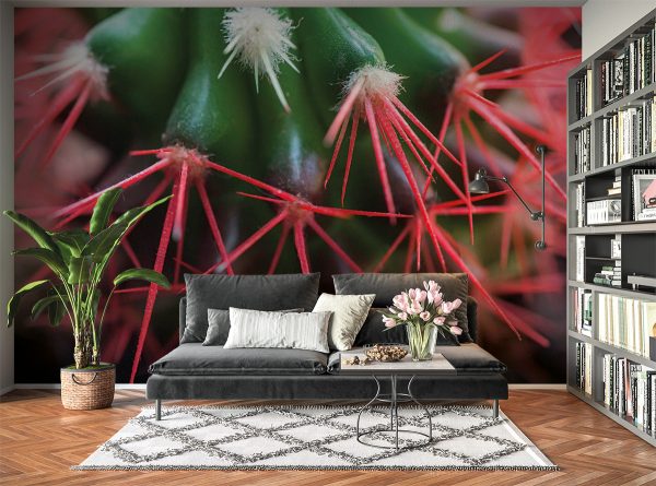 Cactus Red Needles Nature Wall Mural Photo Wallpaper UV Print Decal Art Décor