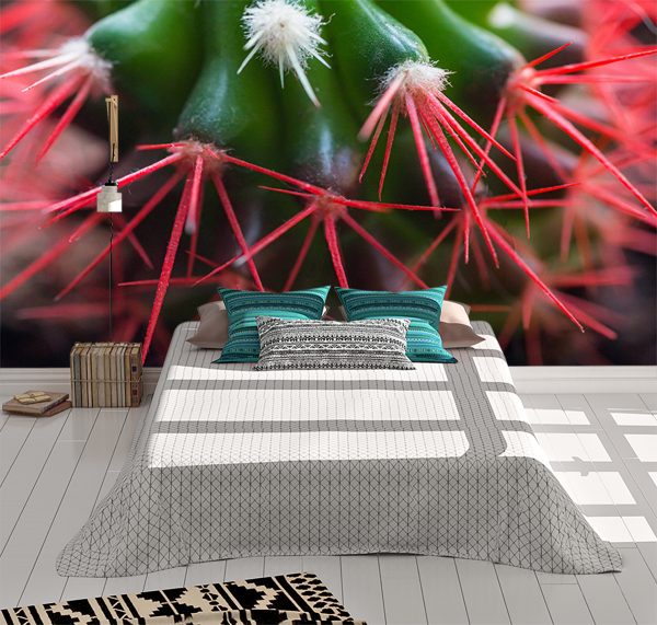 Cactus Red Needles Nature Wall Mural Photo Wallpaper UV Print Decal Art Décor