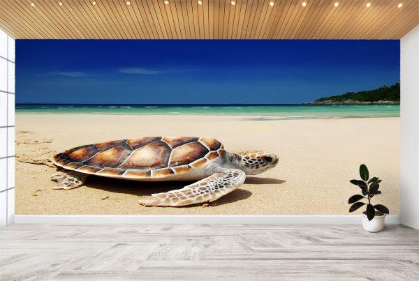 Sea Turtle on the Beach Wall Mural Photo Wallpaper UV Print Decal Art Décor