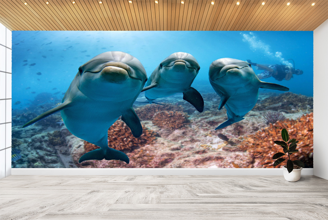 Smiling Dolphins in the Water Wall Mural Photo Wallpaper UV Print Art Décor