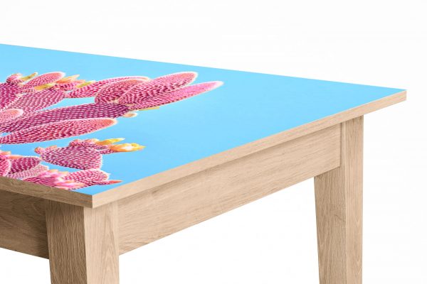 Pink Cactus Blue Scene Laminated Self Adhesive Vinyl Table Desk Art Décor Cover