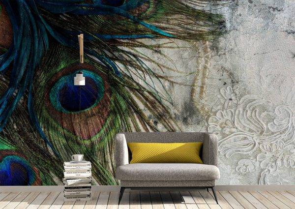 Peacock Feathers on Concrete Wall Mural Photo Wallpaper UV Print Decal Art Décor