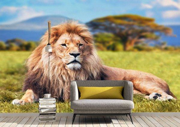 Relaxing lion on the grass Wall Mural Photo Wallpaper UV Print Decal Art Décor