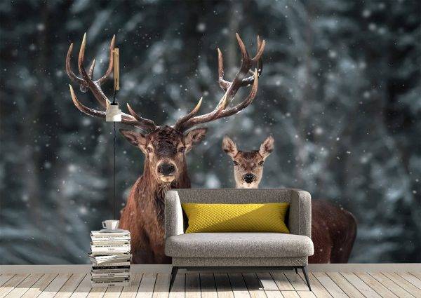 Pair of Deer Winter Season Wall Mural Photo Wallpaper UV Print Decal Art Décor