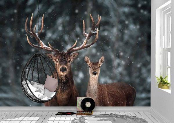 Pair of Deer Winter Season Wall Mural Photo Wallpaper UV Print Decal Art Décor