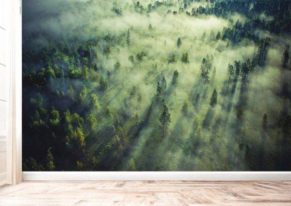 Tropical Forest Landscape Wall Mural Photo