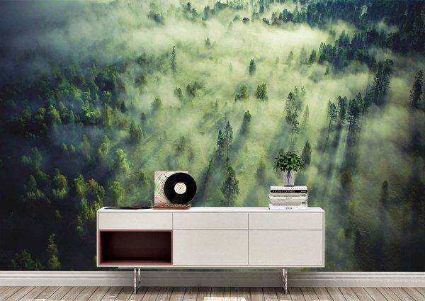 Tropical Forest Landscape Wall Mural Photo