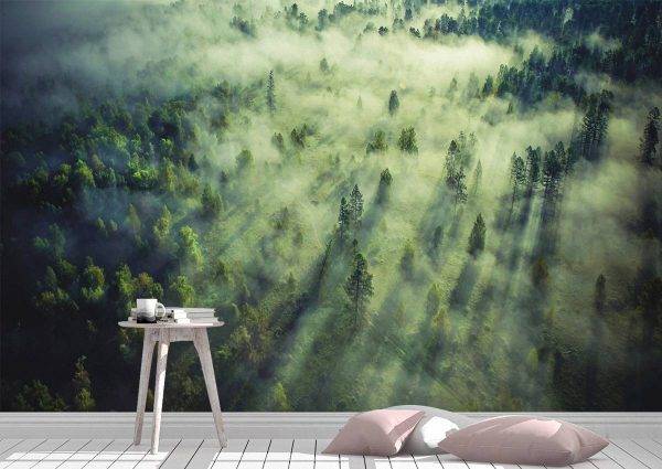 Tropical Forest Landscape Wall Mural Photo