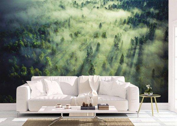 Tropical Forest Landscape Wall Mural Photo