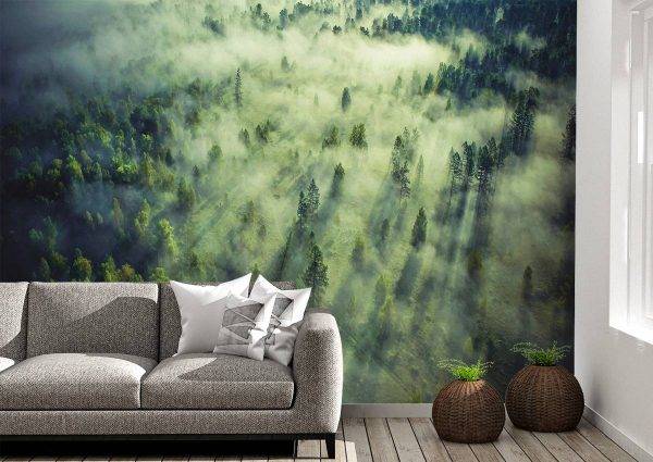 Tropical Forest Landscape Wall Mural Photo